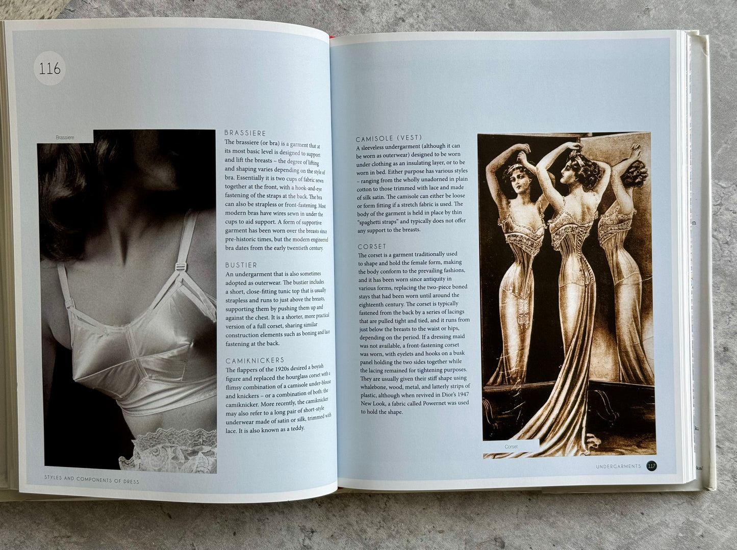 Fashion Dictionary Book