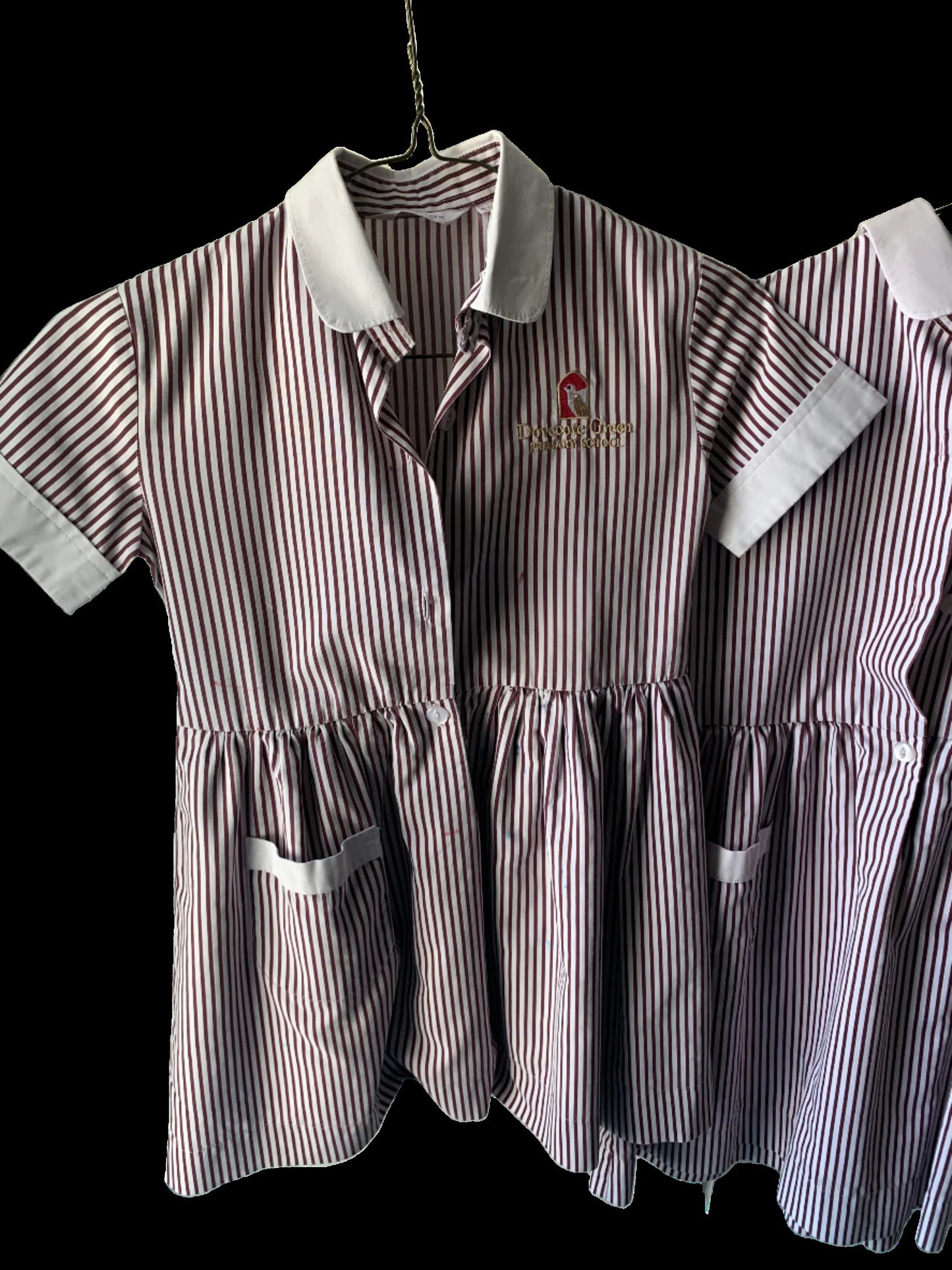 Dubai Dove Green School Uniform