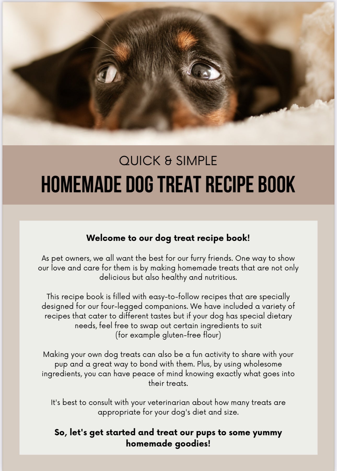E_book homemade dogs treats quick and easy recipes