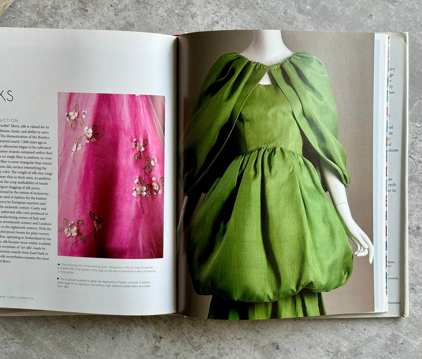 Fashion Dictionary Book