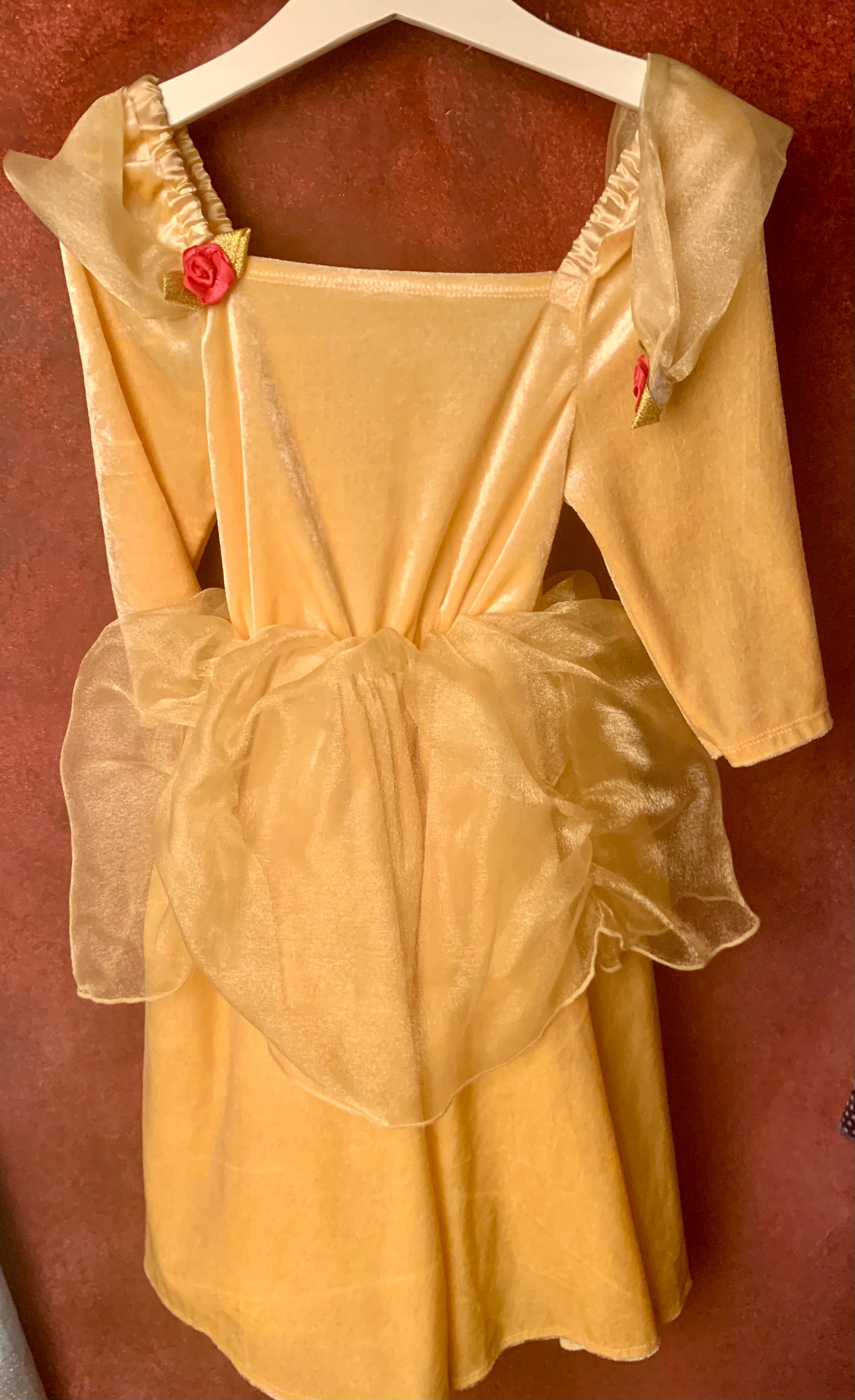 Sleeping beauty fancy dress