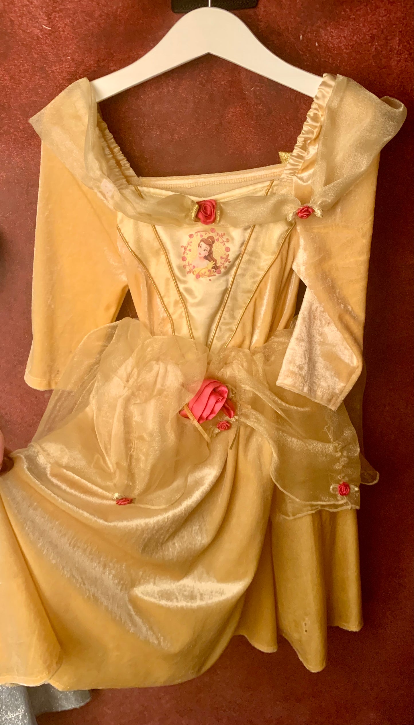 Sleeping beauty fancy dress