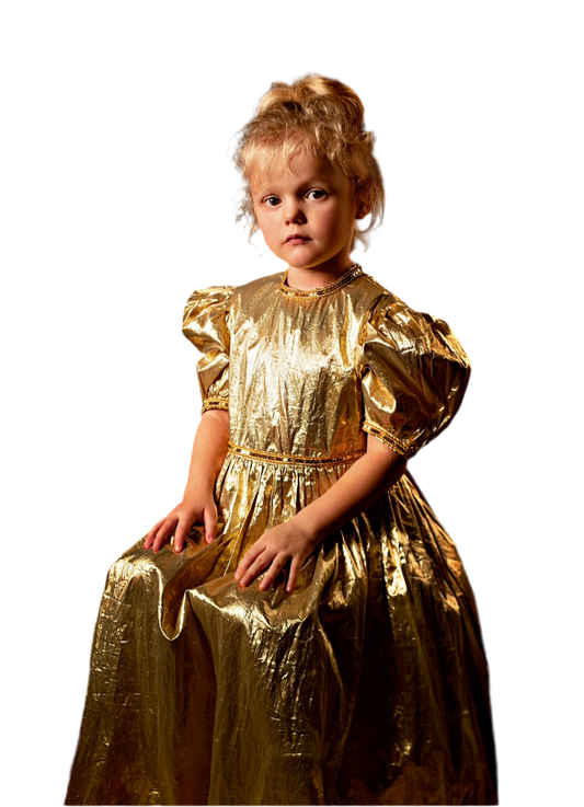 Fancy girls dress, 4-5 years