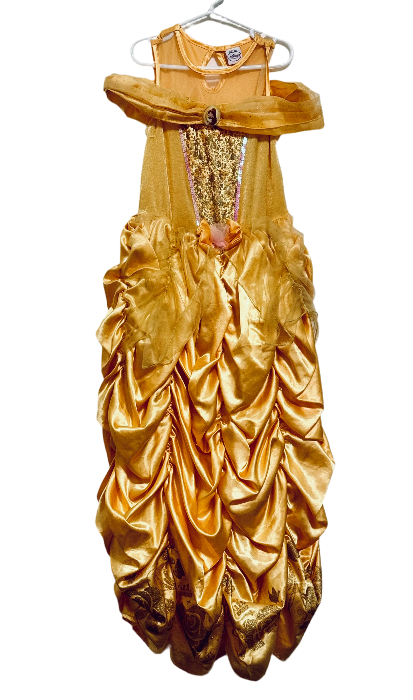 Sleeping beauty dress