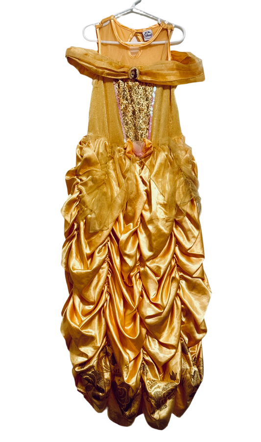 Sleeping beauty dress