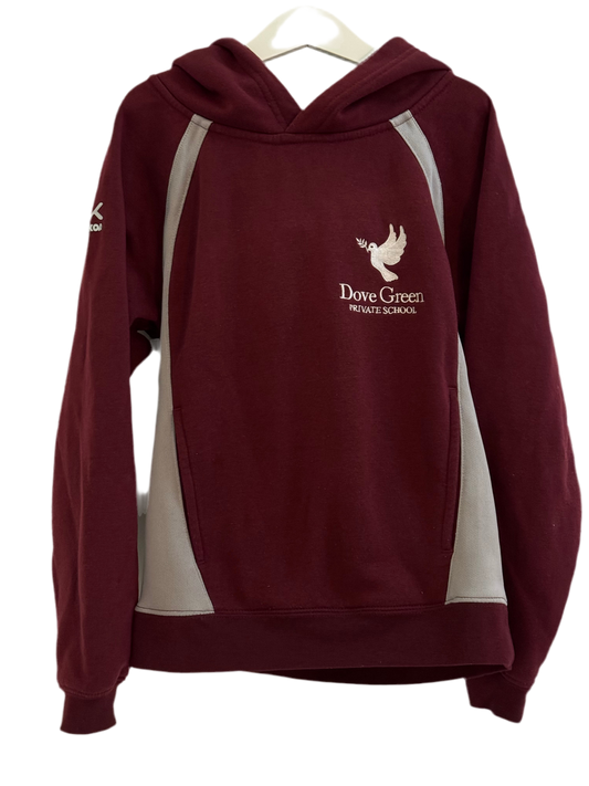 Dove Green School Hoodie, 9/10