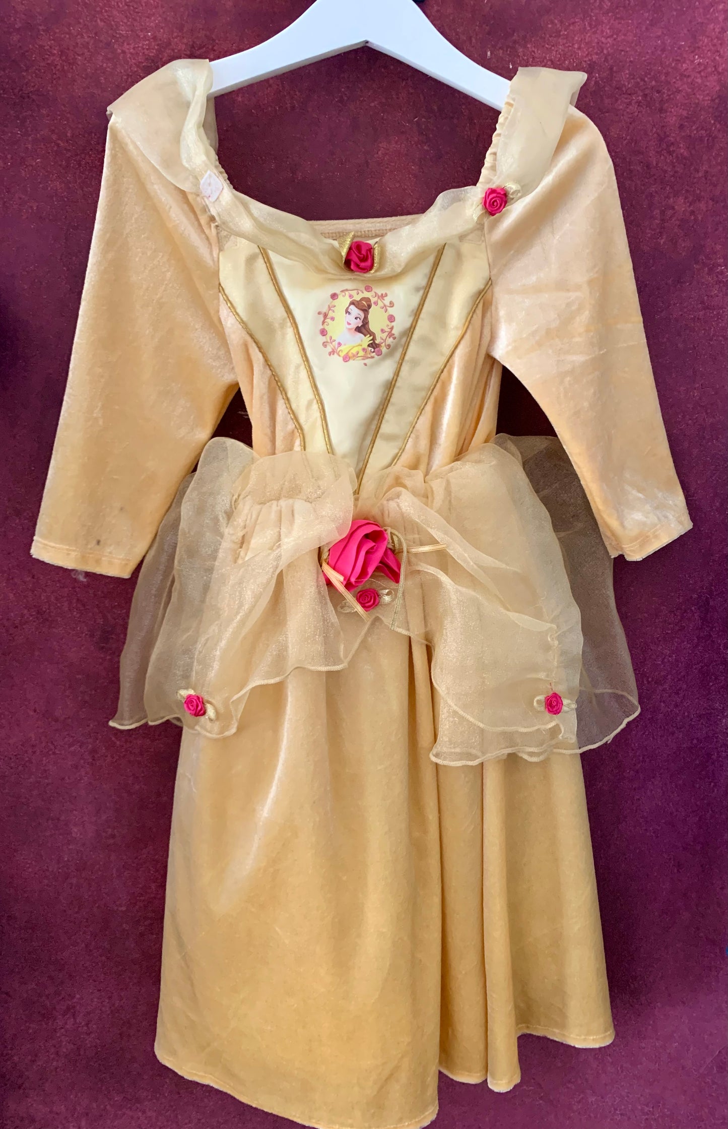Sleeping beauty fancy dress