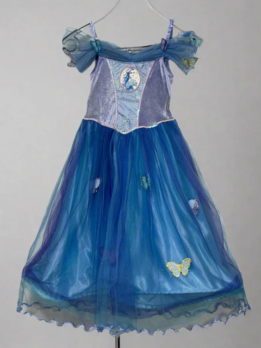 Cinderella dress