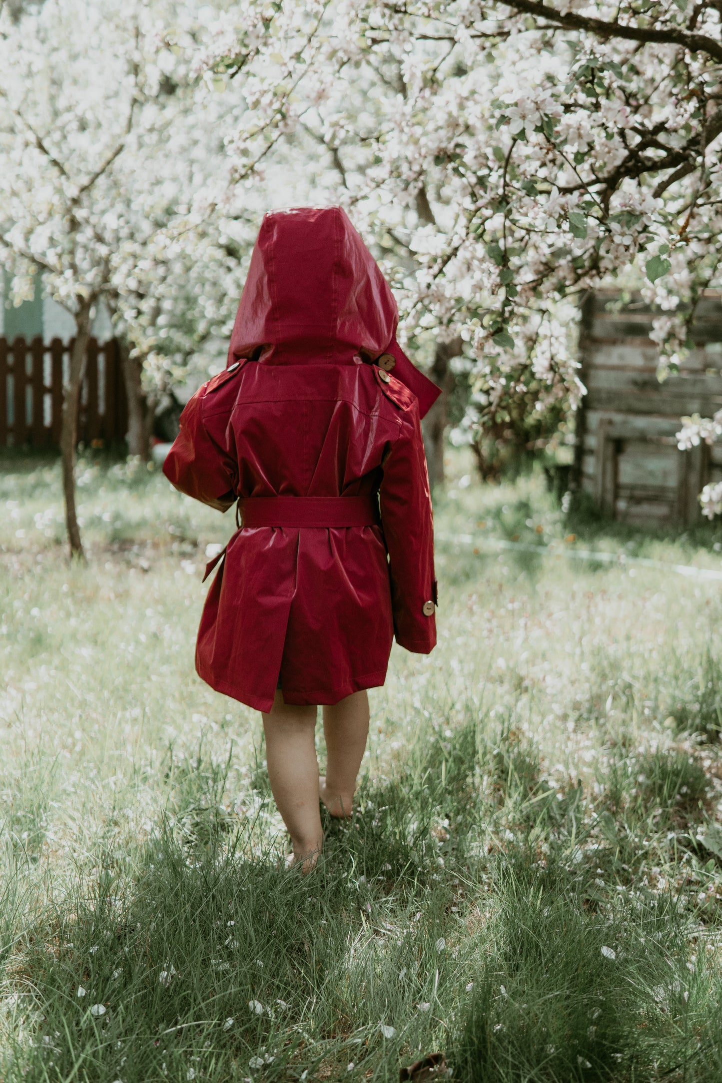 Kid's Trench Coat - Burgundy Red - Cotton