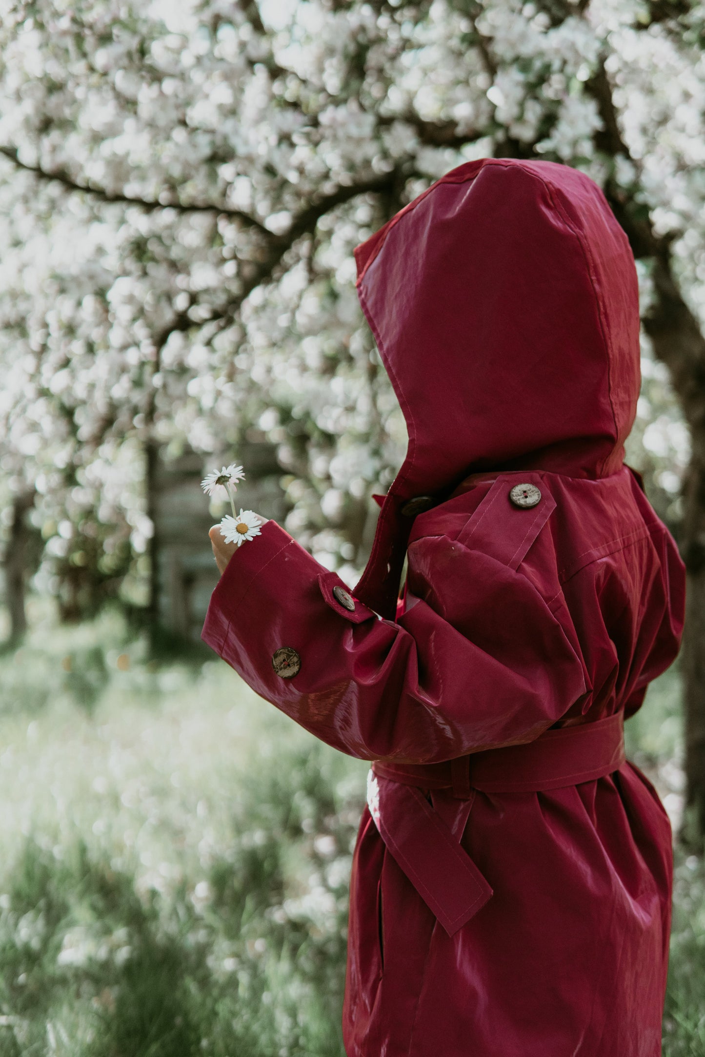 Kid's Trench Coat - Burgundy Red - Cotton