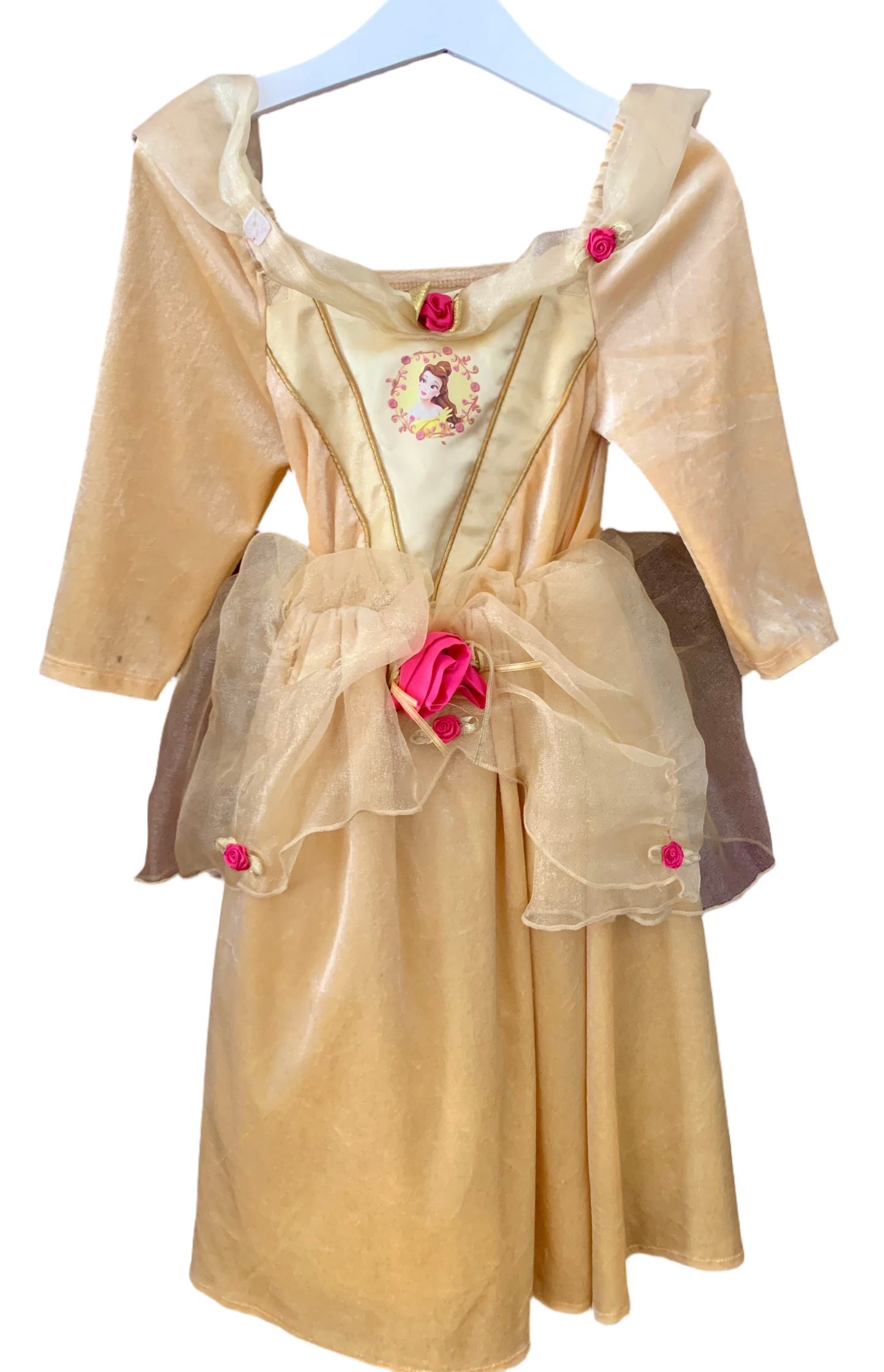Sleeping beauty fancy dress
