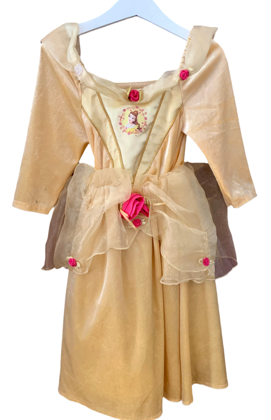 Sleeping beauty fancy dress