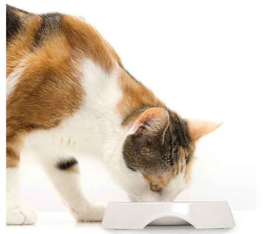 Shallow double feeding plate