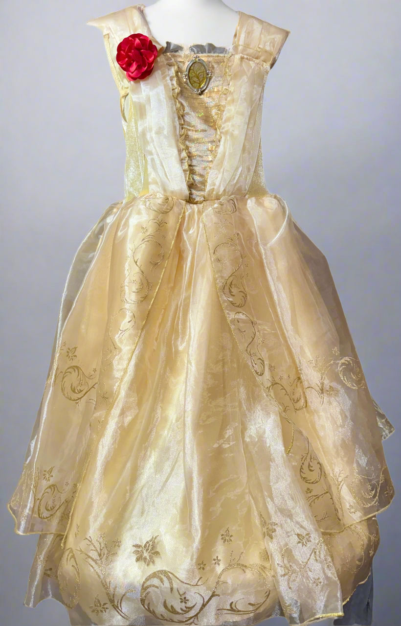 Sleeping beauty dress