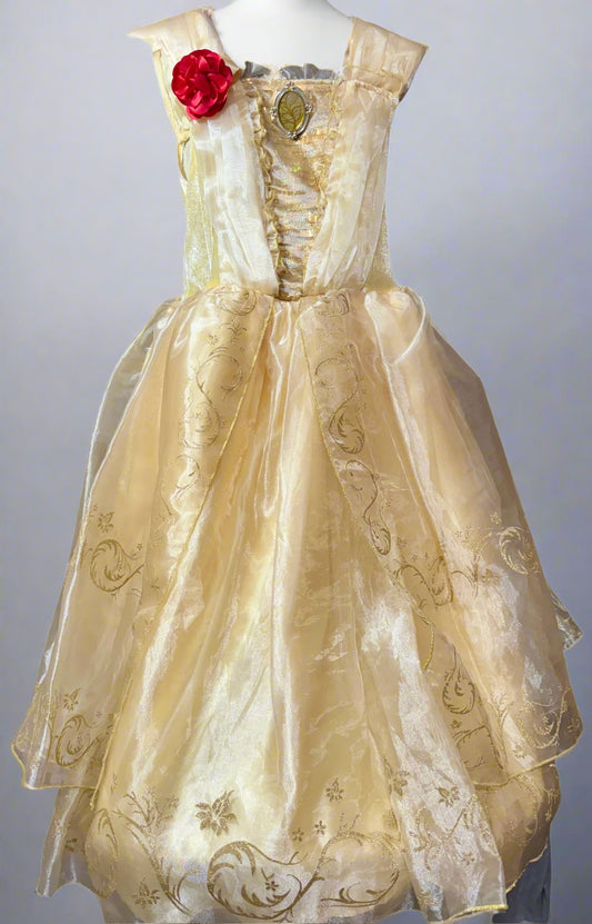 Sleeping beauty dress