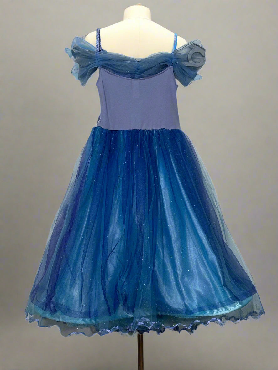 Cinderella dress 5-7