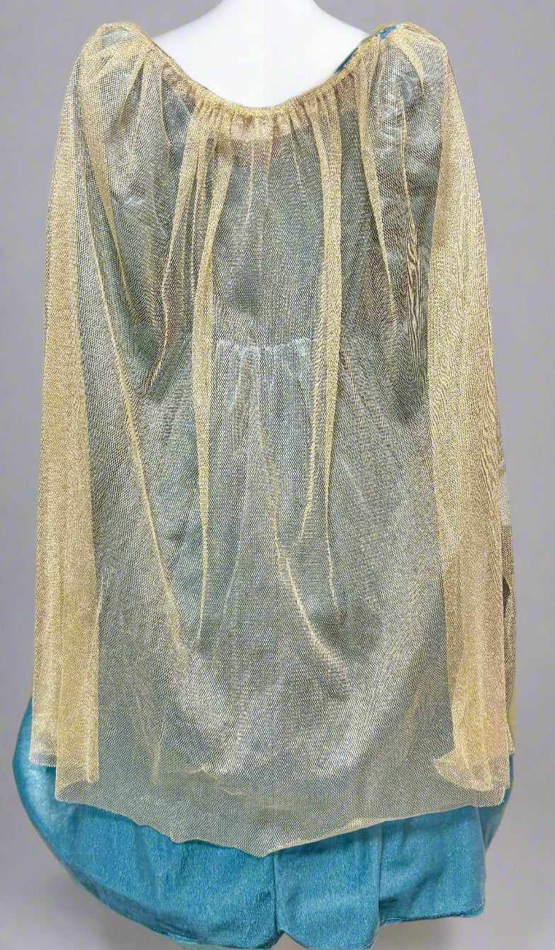 I want to be blue medieval gown 3-6 years