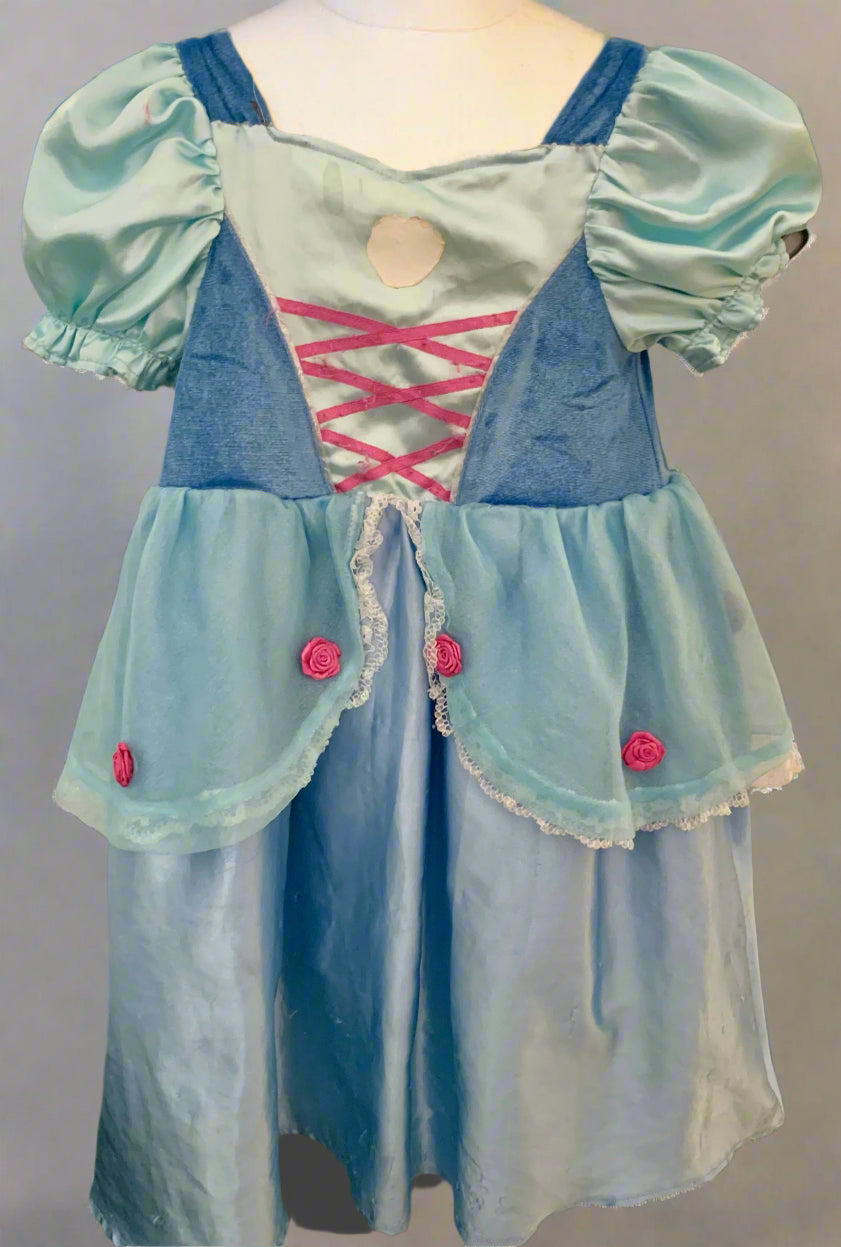 cinderella dress reversible