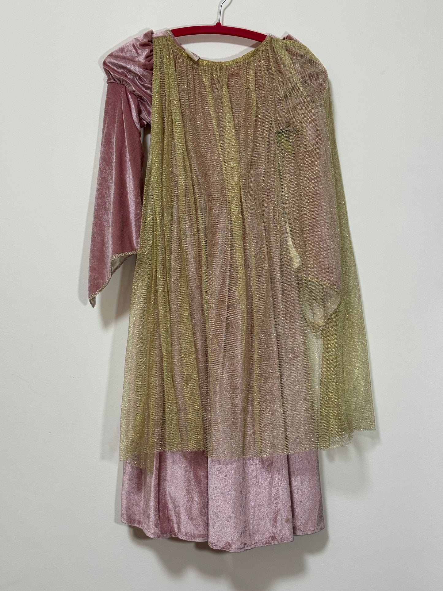 luxury medieval gown 