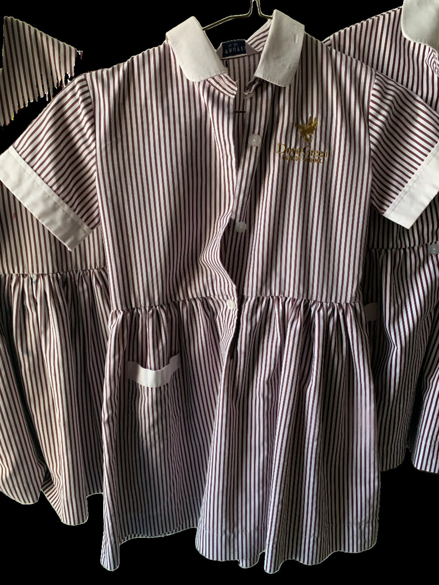 Dubai Dove Green School Uniform