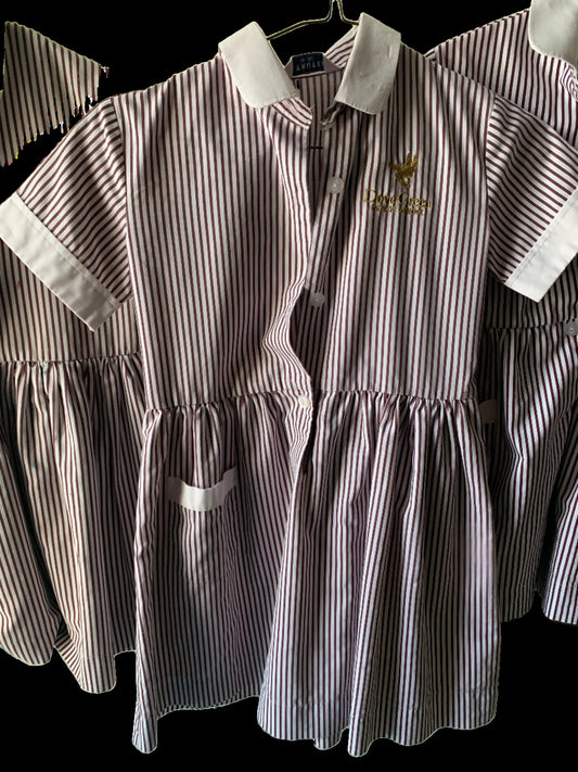 Dubai Dove Green School Uniform