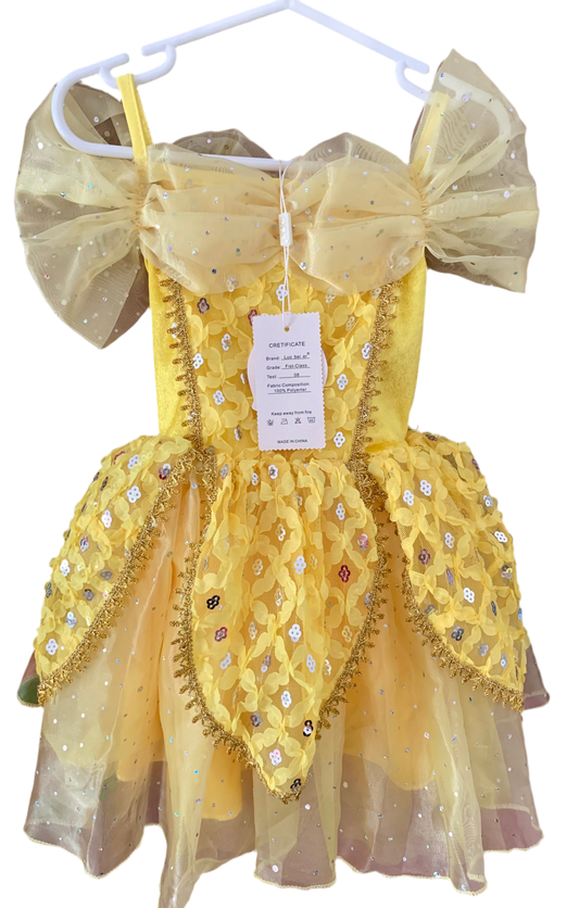 Fancy costume dress, new